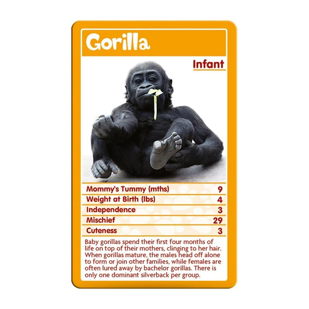 Top Trumps Baby Animals kaartspel schattige dieren vanaf 3 jaar