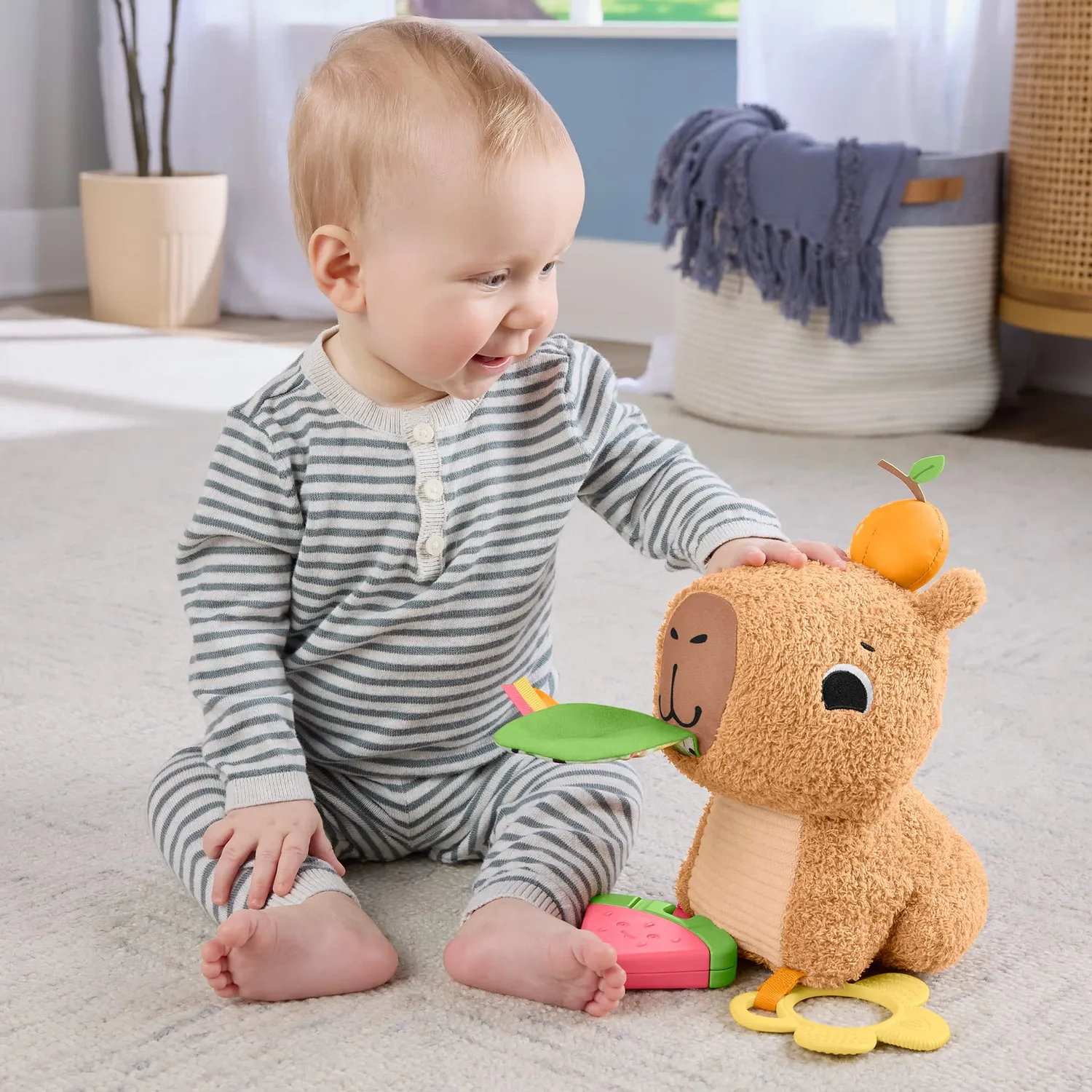 Fisher-Price zacht dierenknuffel babyspeelgoed bijtspeelgoed