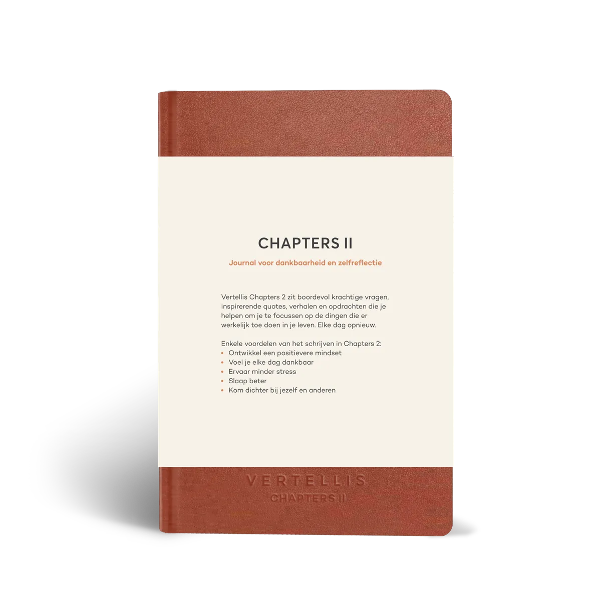Vertellis Chapters 2 journal zwart zelfreflectie