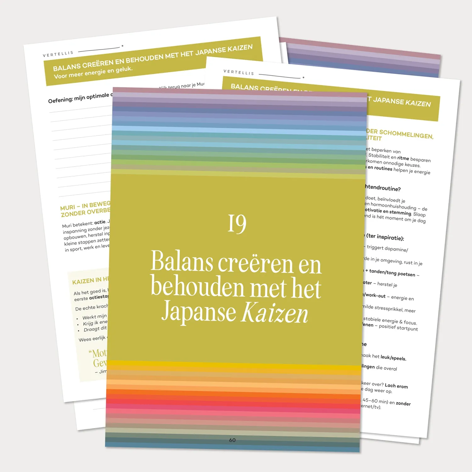 Vertellis Grote Toolkit digitaal 37 tools balans