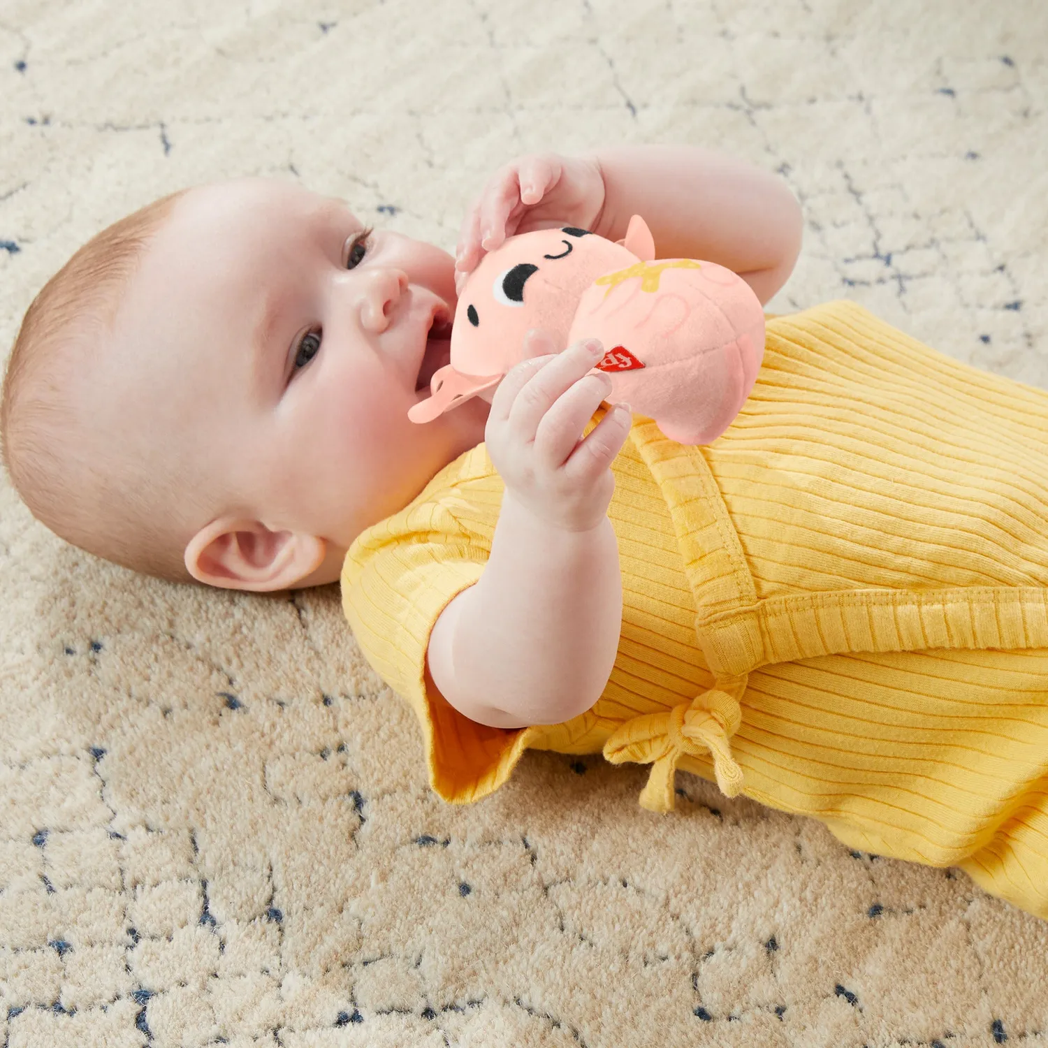 Fisher-Price Zintuigen cadeauset babyspeelgoed 4-delig zacht