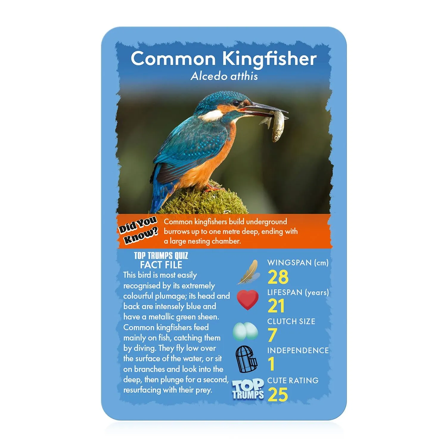 Top Trumps Birds kaartspel 30 kaarten vogels