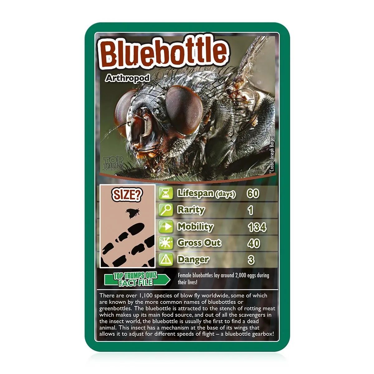 Top Trumps Bugs kaartspel 30 insecten