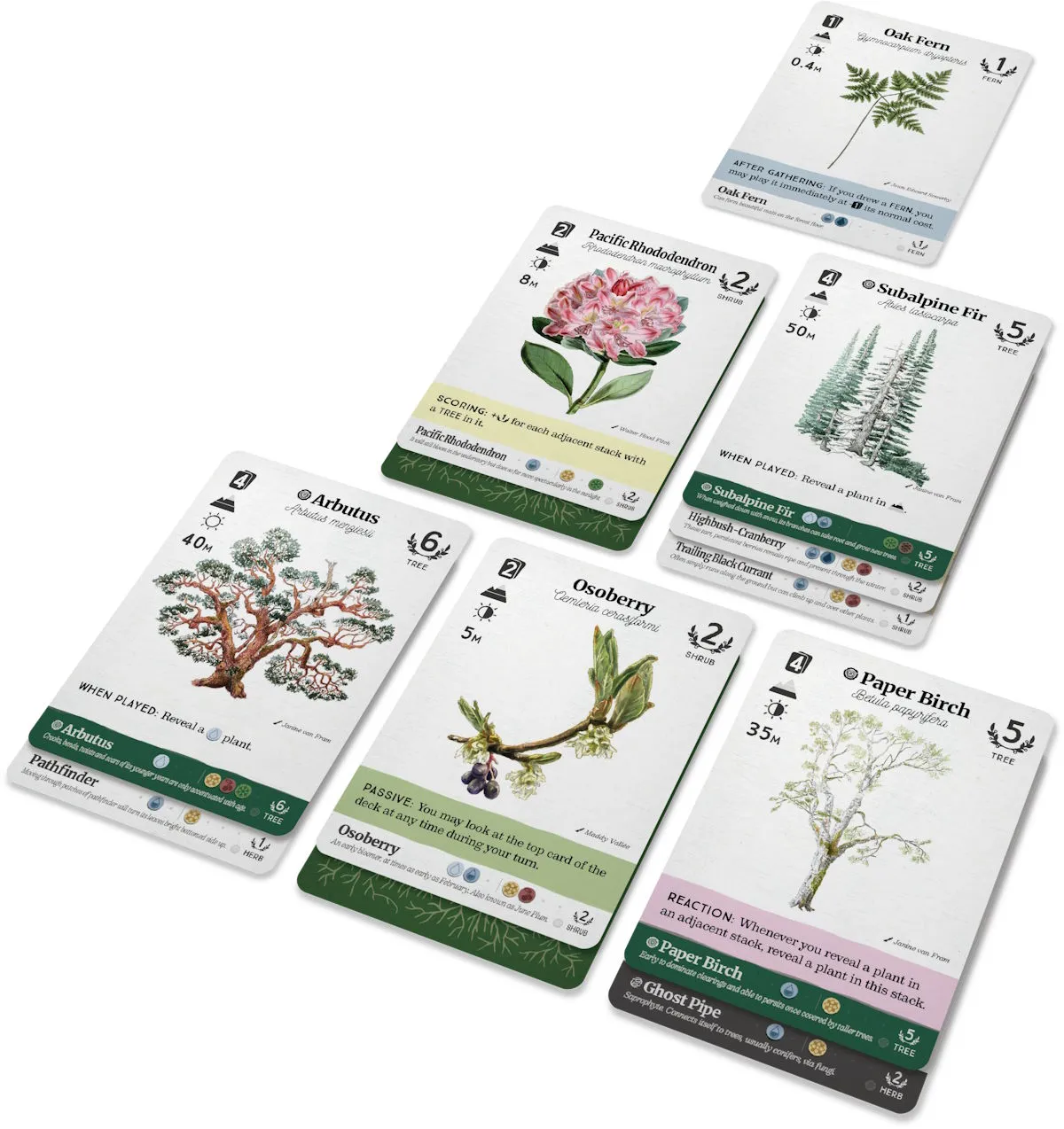 Reforest Old Growth print and play uitbreiding compleet