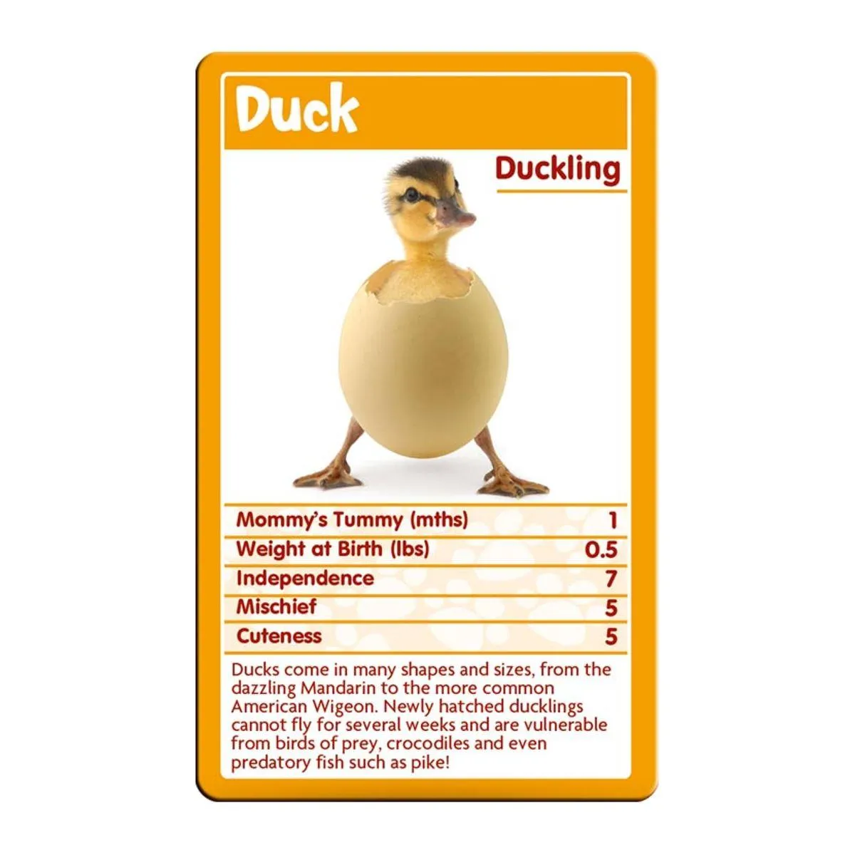 Top Trumps Baby Animals kaartspel schattige dieren vanaf 3 jaar