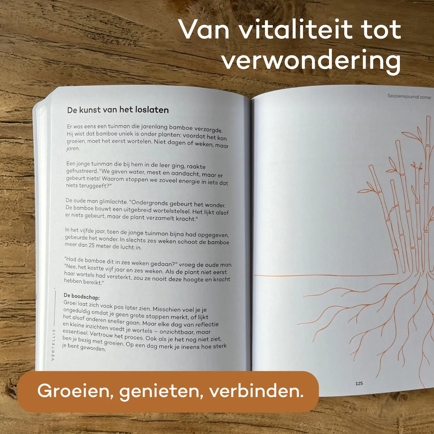 Vertellis Seizoensjournal Zomer journal 94 dagen