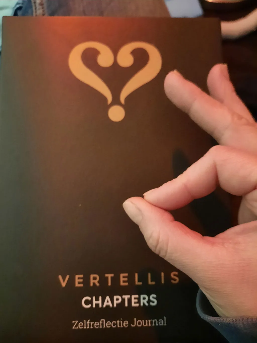 Vertellis Chapters dankbaarheidsdagboek zwart