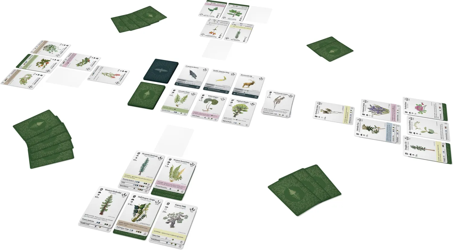 Reforest print and play kaartspel download bos
