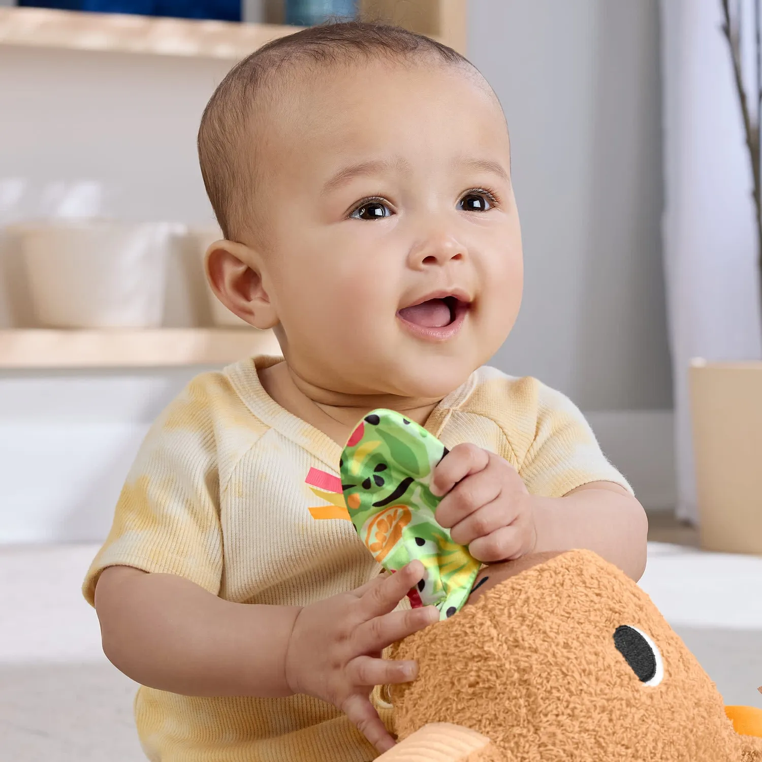 Fisher-Price Capibara knuffel sensorisch met bijtring rammelaar