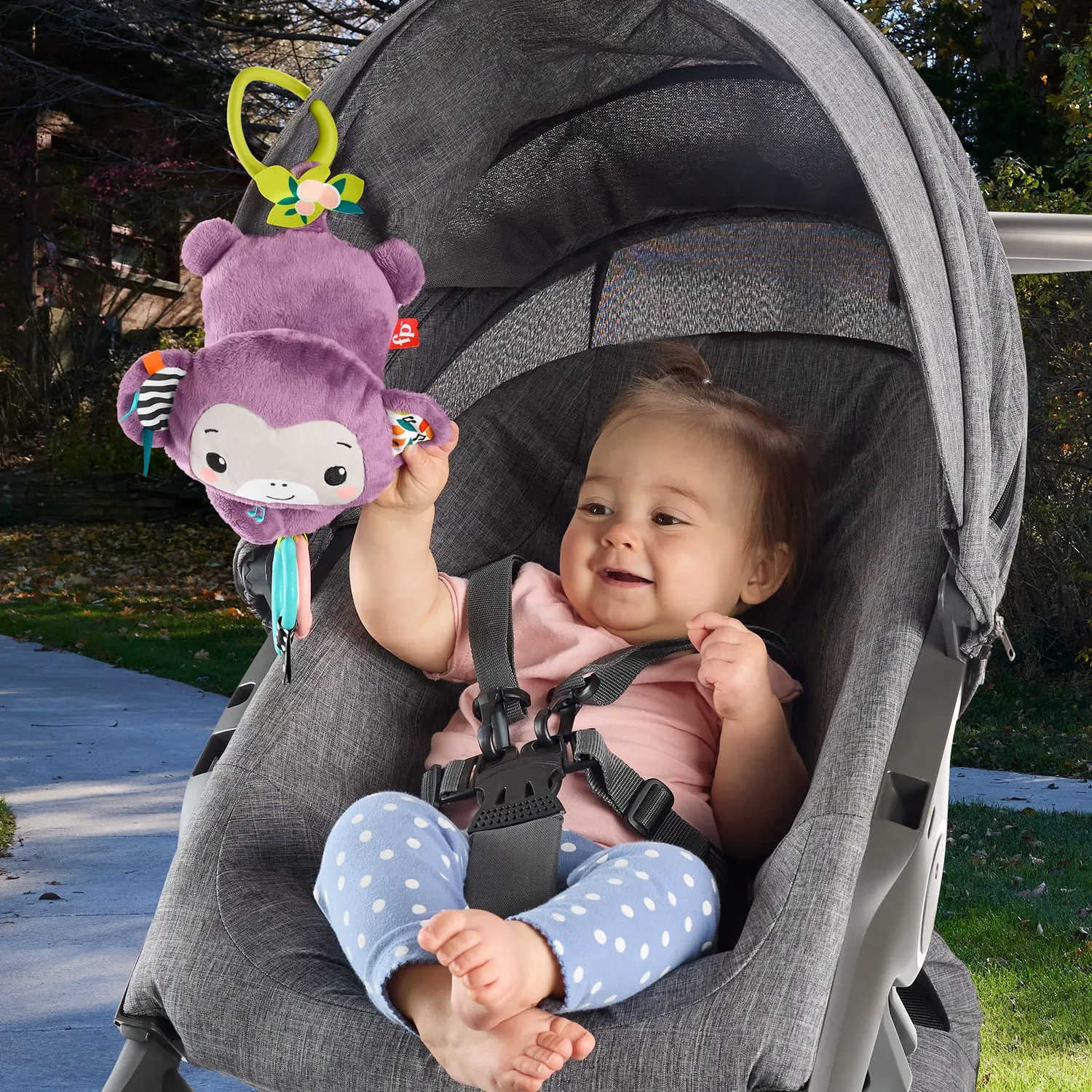 Fisher-Price Hangend Aapje muziekspeeltje paars