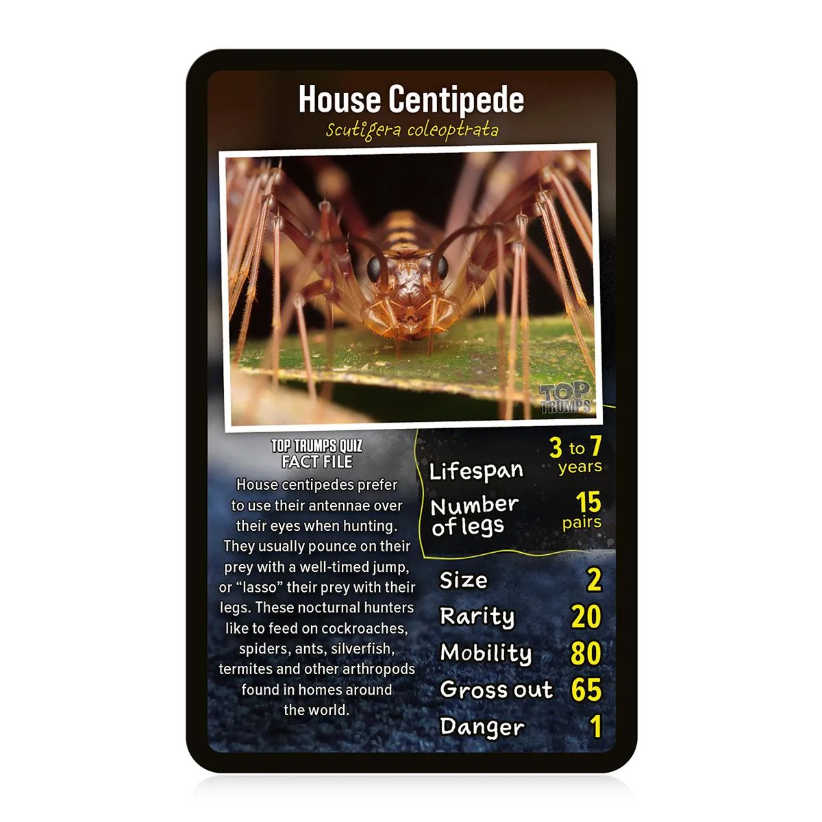 Top Trumps Creepy Crawlies kaartspel insecten