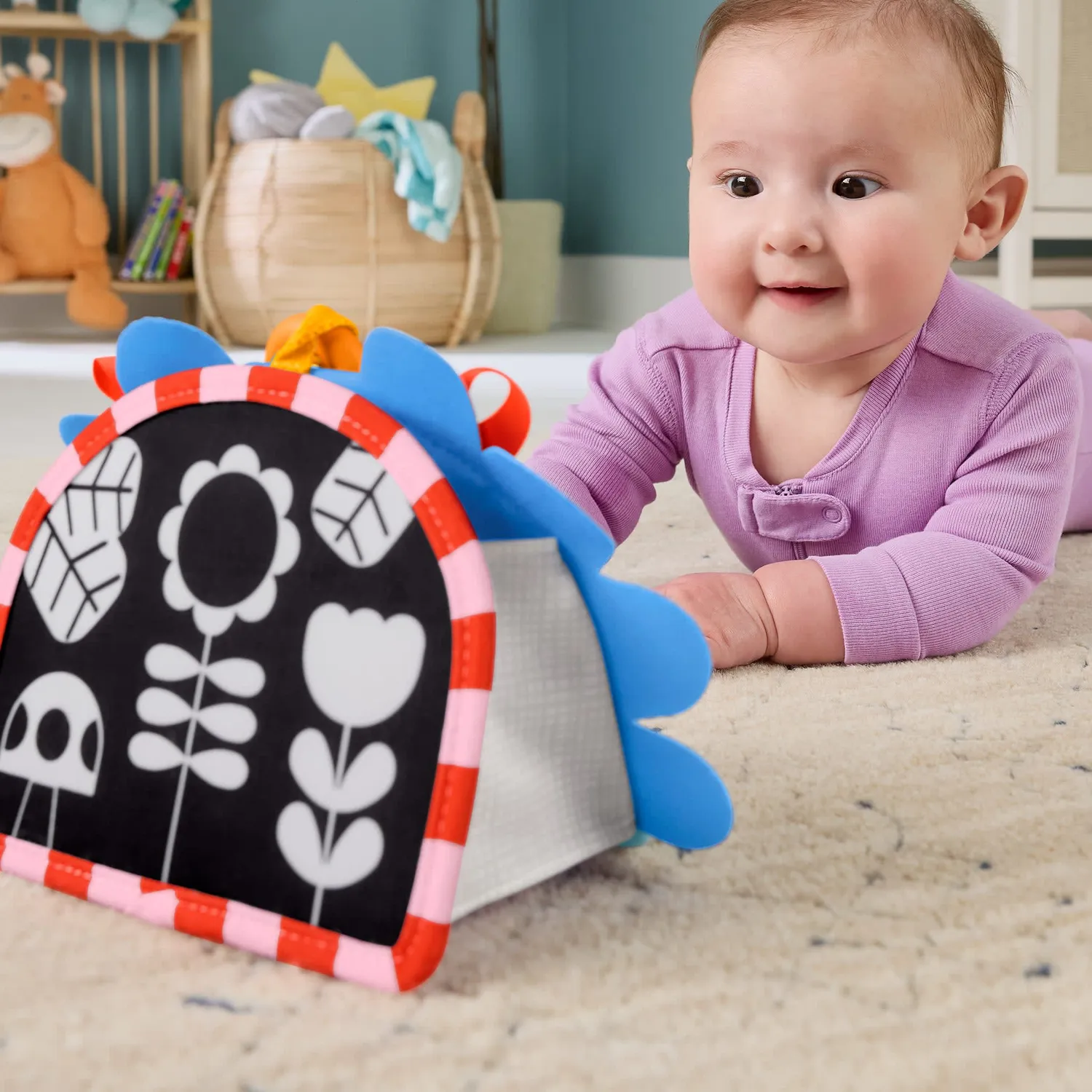 Fisher-Price Egel Babyspiegel Draagbaar Contrast