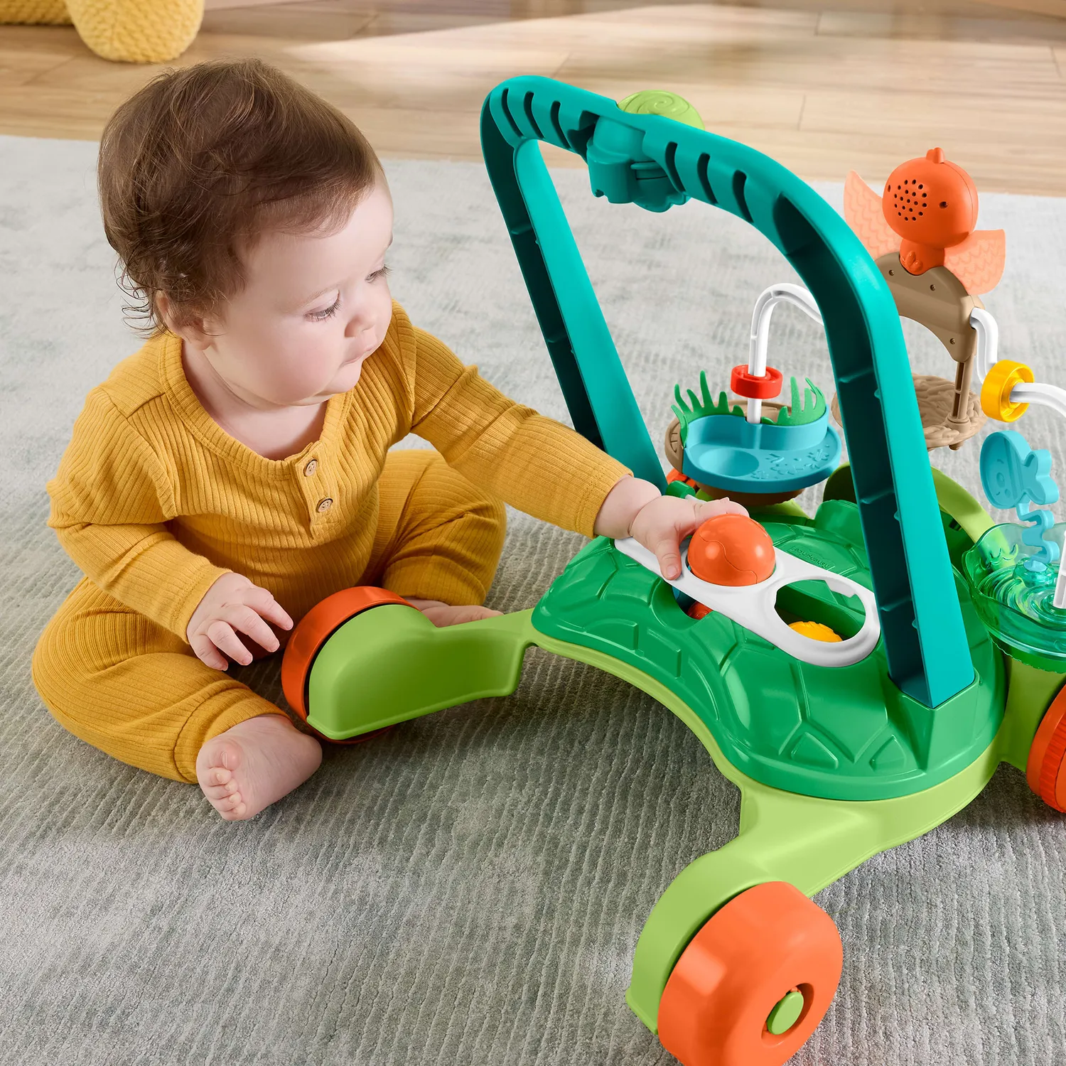 Fisher-Price Schildpad loopwagen met 5 ballen