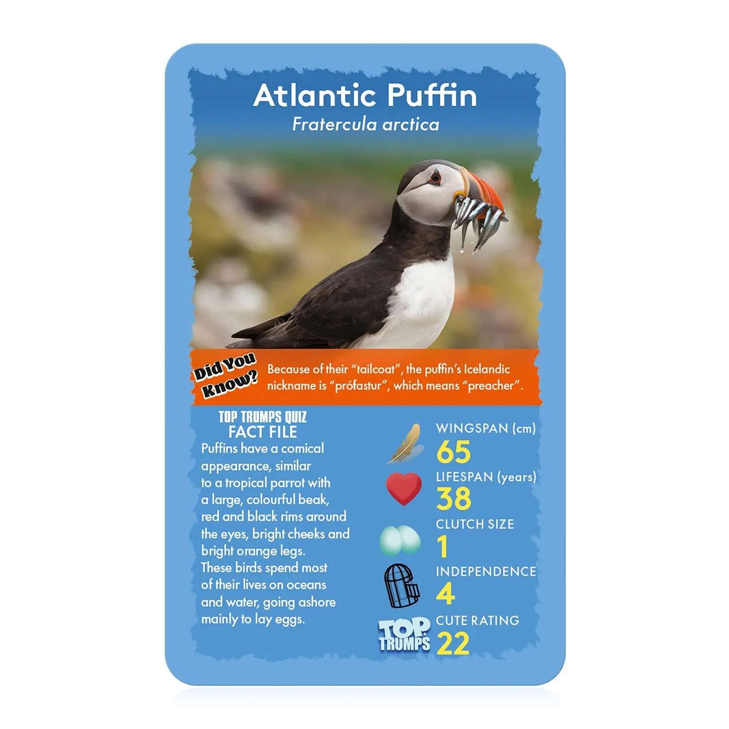 Top Trumps Birds kaartspel 30 kaarten vogels