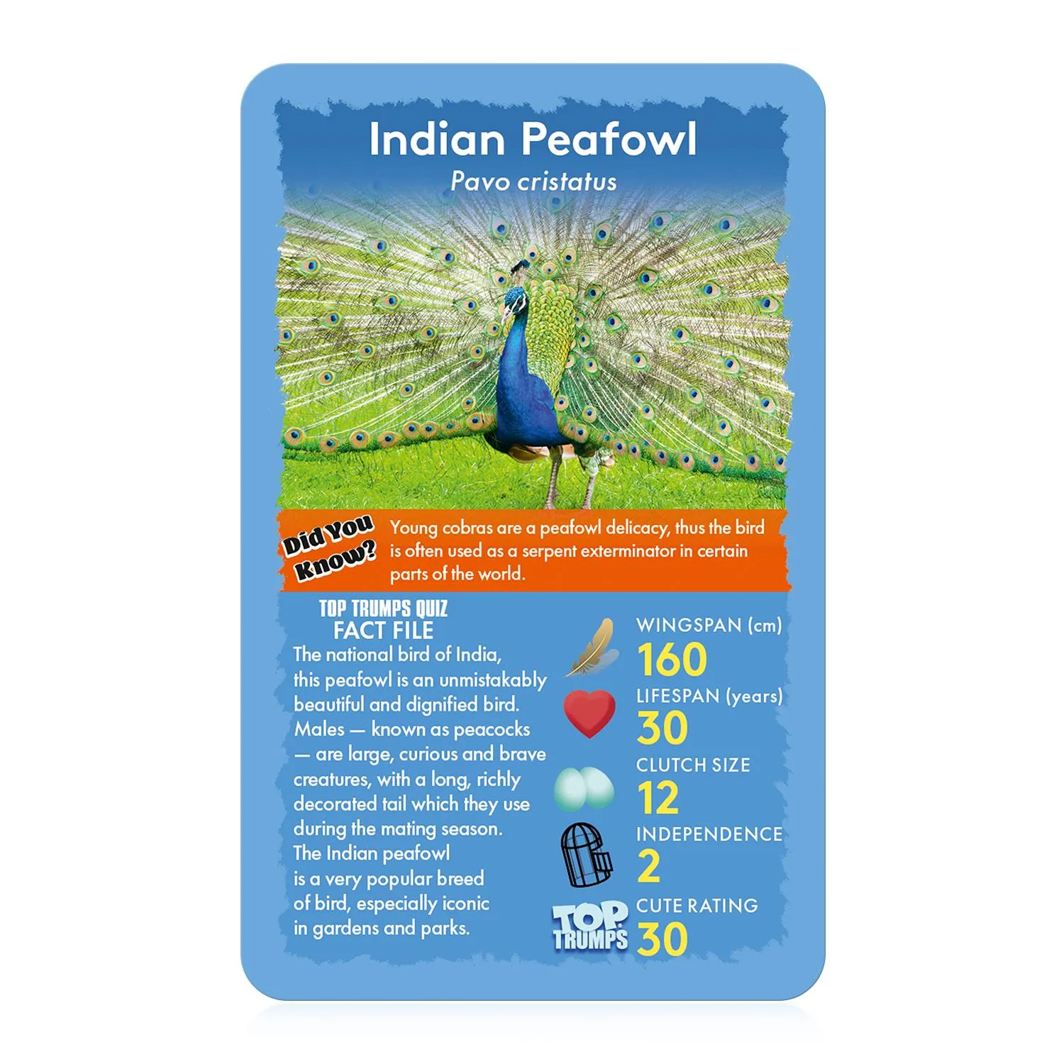 Top Trumps Birds kaartspel 30 kaarten vogels