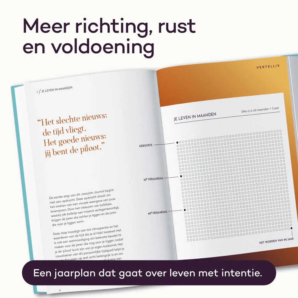 Vertellis Jaarplan journal reflectie doelen