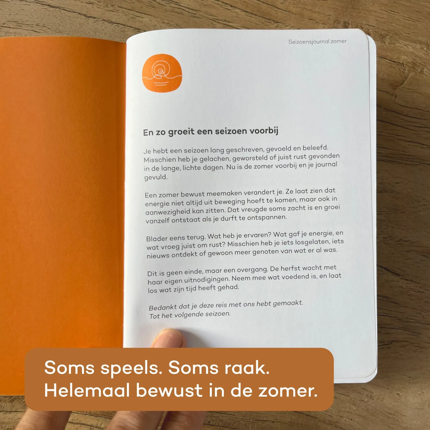 Vertellis Seizoensjournal Zomer journal 94 dagen