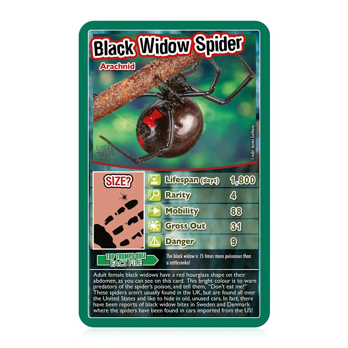 Top Trumps Bugs kaartspel 30 insecten